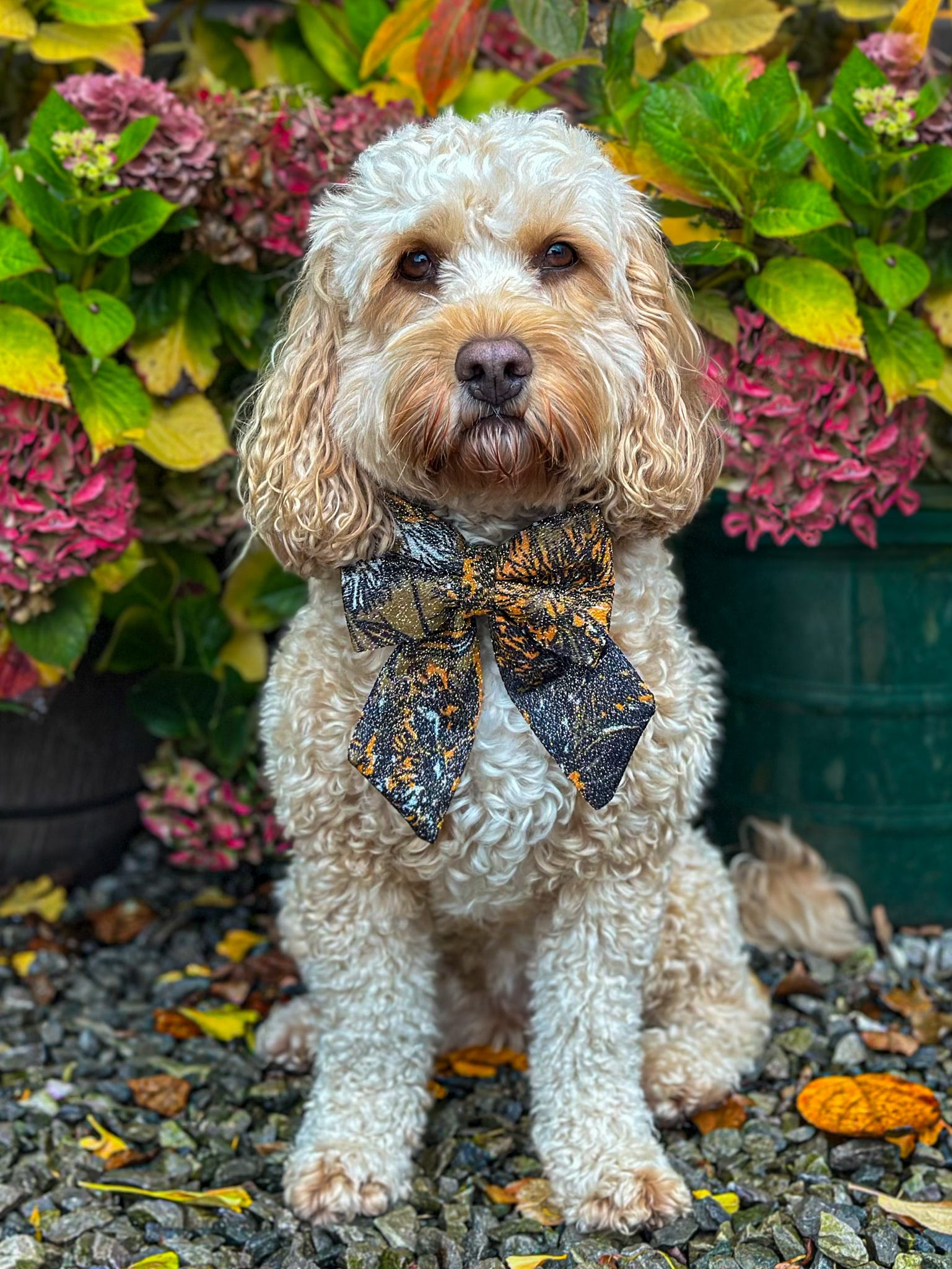 Shimmering Solstice Sailor Bow