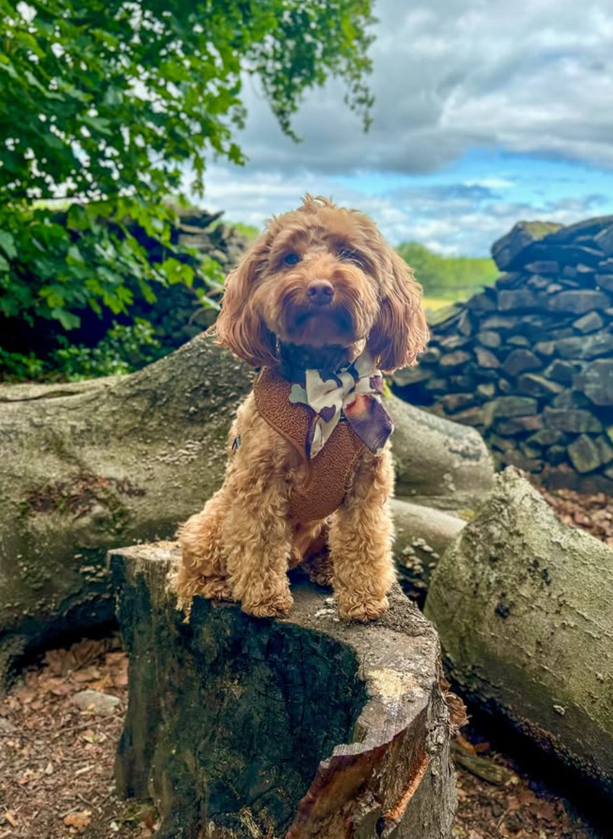 Cow Print Sailor Bow
