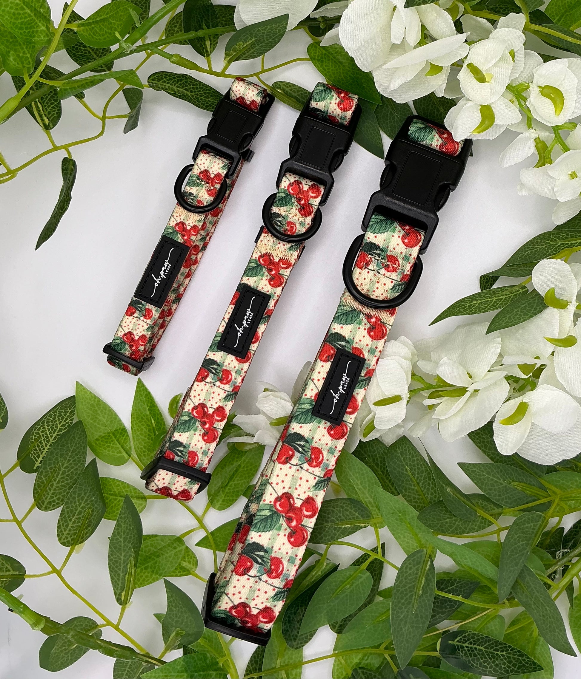 Cherry Picked Walk & Wag Bundle