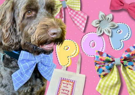 Dopamine Dressing… But Make It Dog Fashion