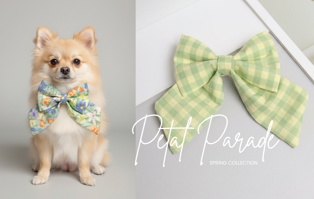 Spring Dog Style Guide: The Staple Pieces Every Pup Needs This Season