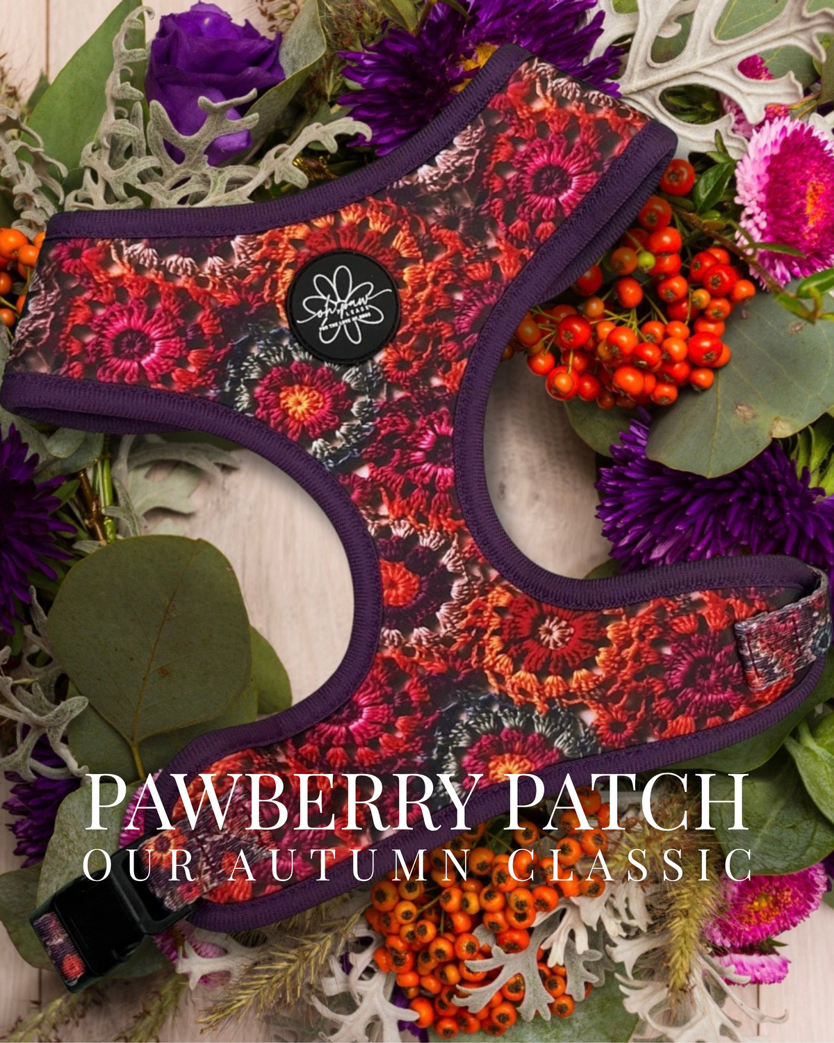 Pawberry Patch