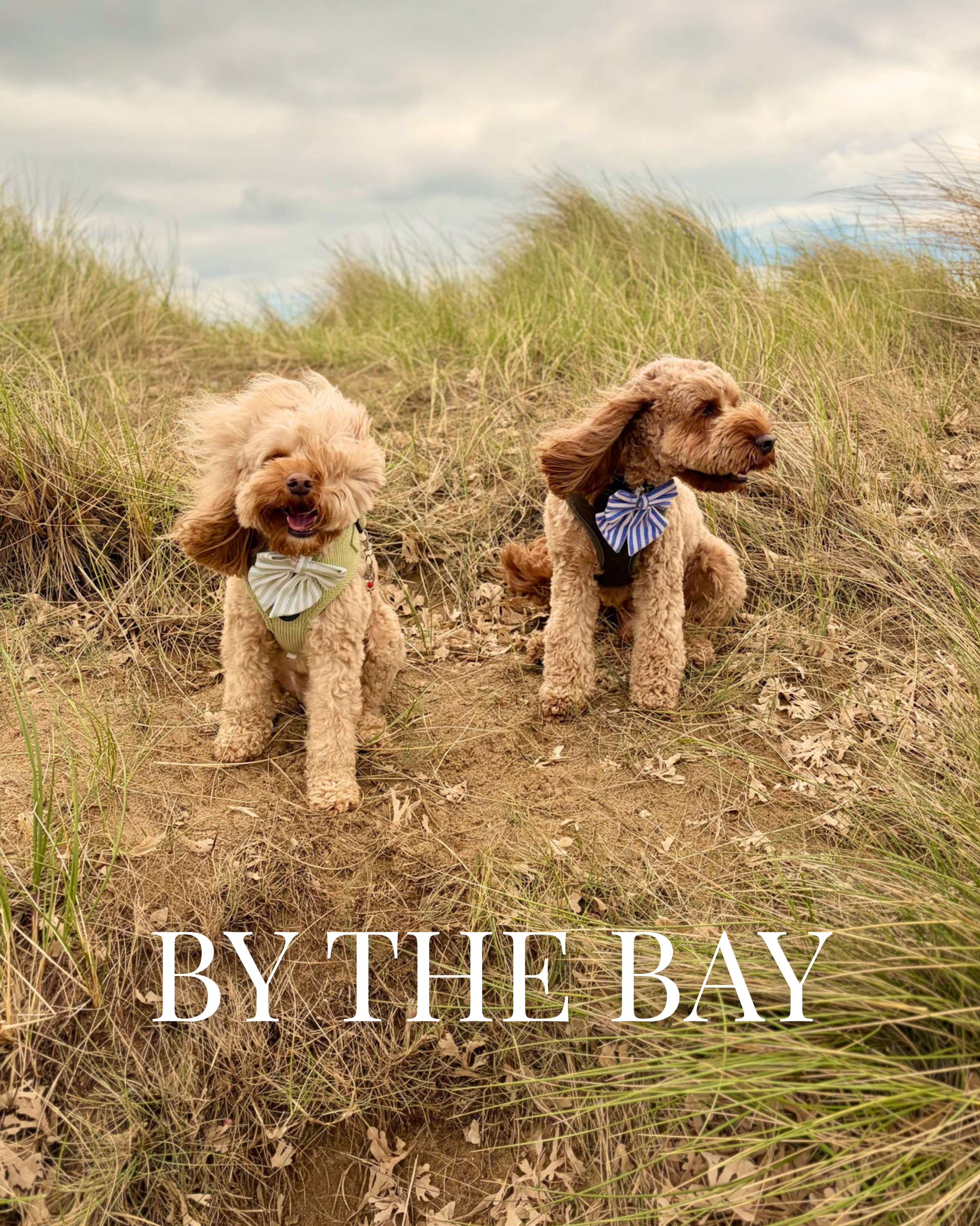 By The Bay