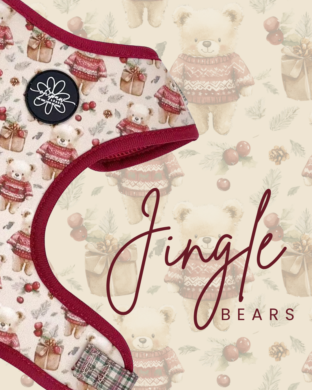 Jingle Bears Walking Set