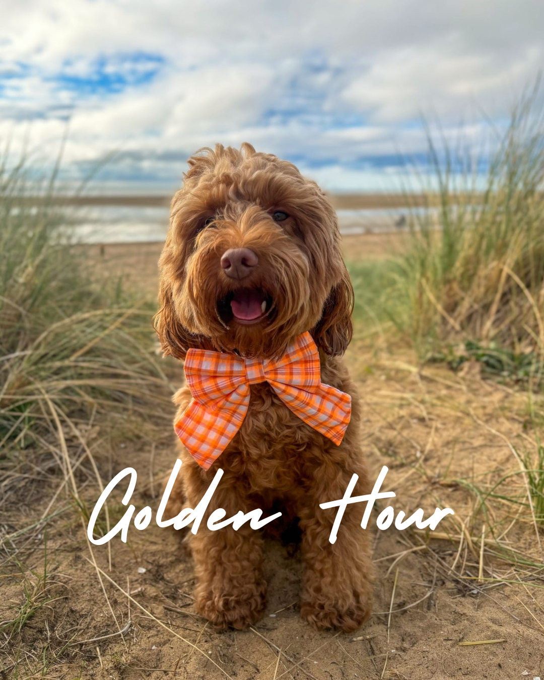 Golden Hour - The Summer Edit