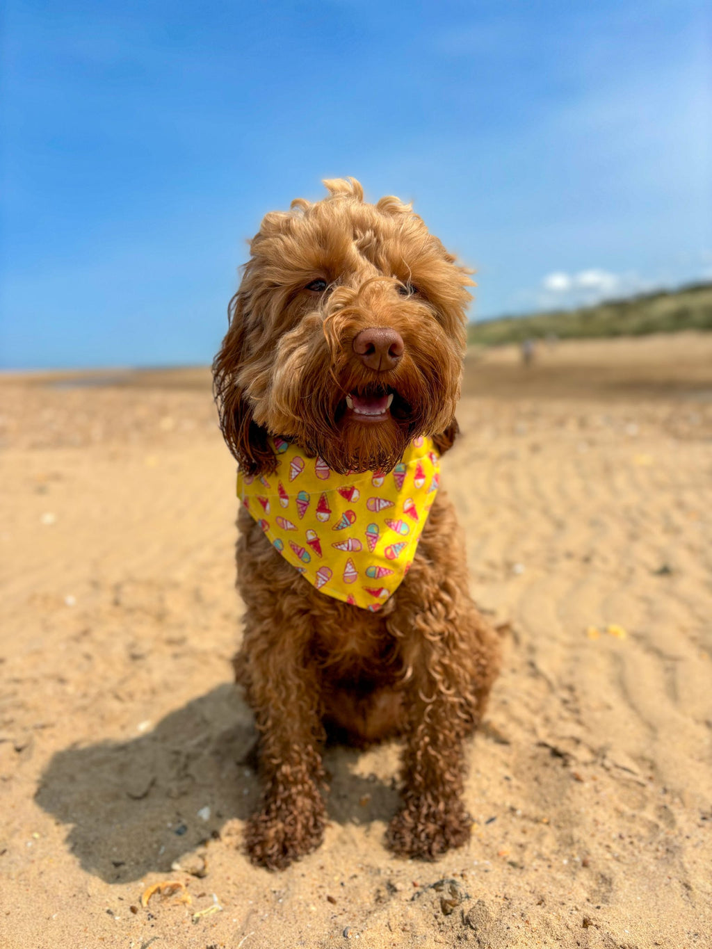 Ice Cream Print Dog Bandana