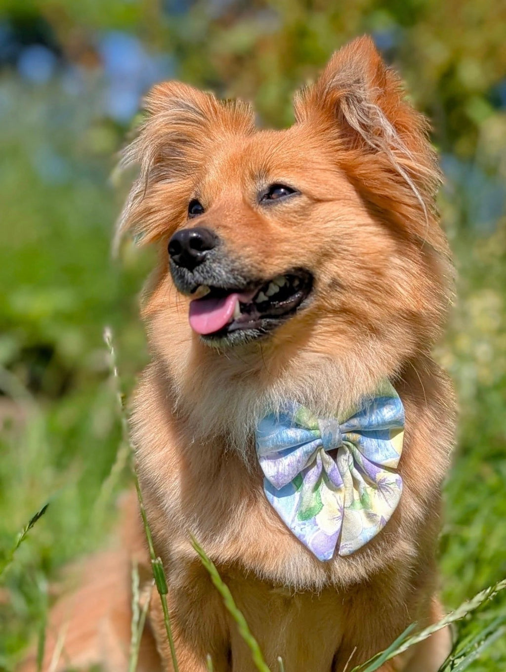 The Wildflower - Summer Meadow Rambler Bow