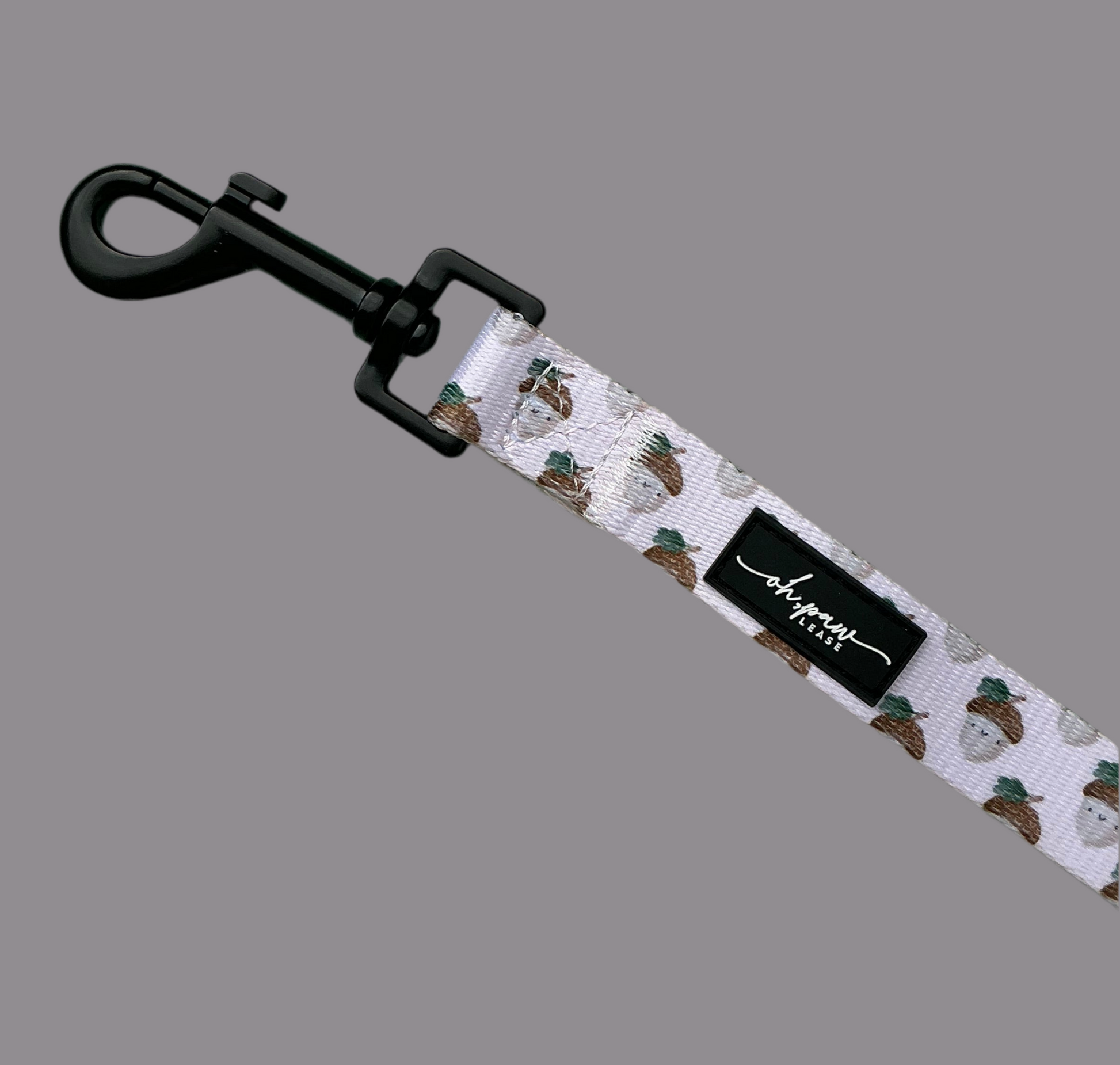 Nutty, by Nature! Acorn Lead