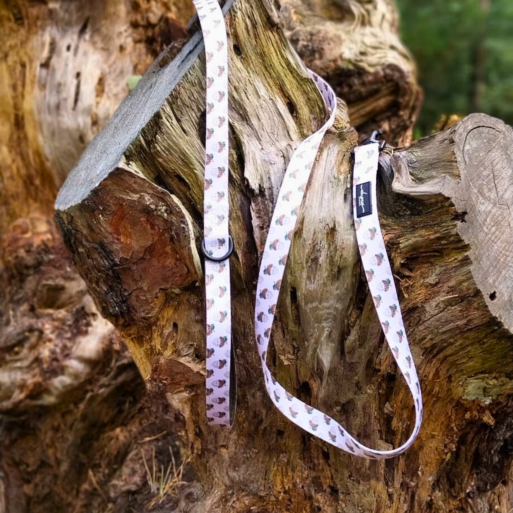 Nutty, by Nature! Acorn Lead