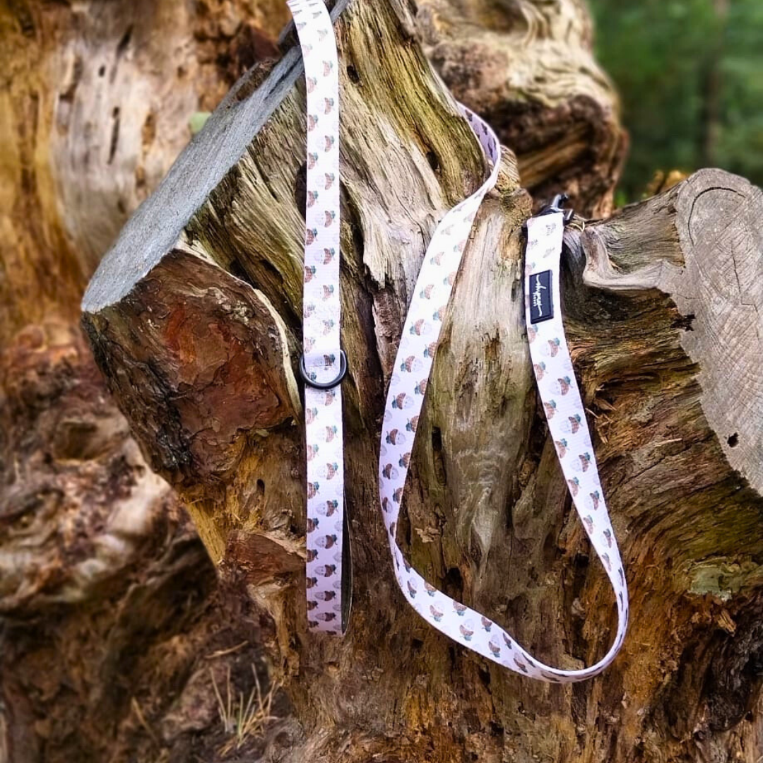 Nutty, by Nature! Acorn Lead