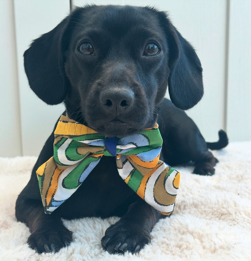 Jungle Jive Sailor Bow