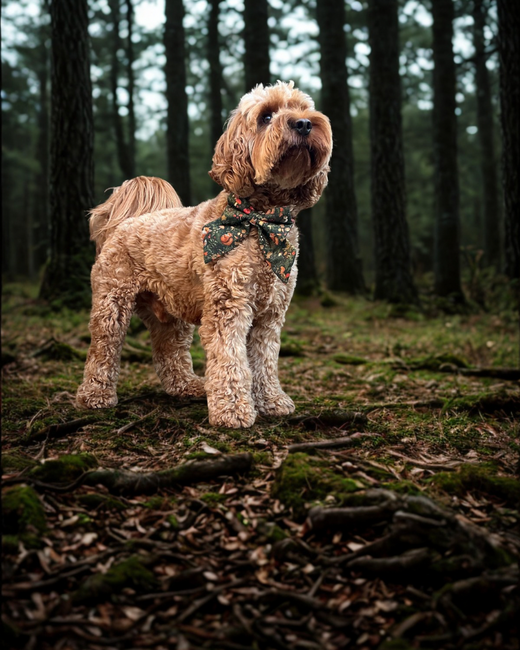 Woodland Wonder Sailor Bow