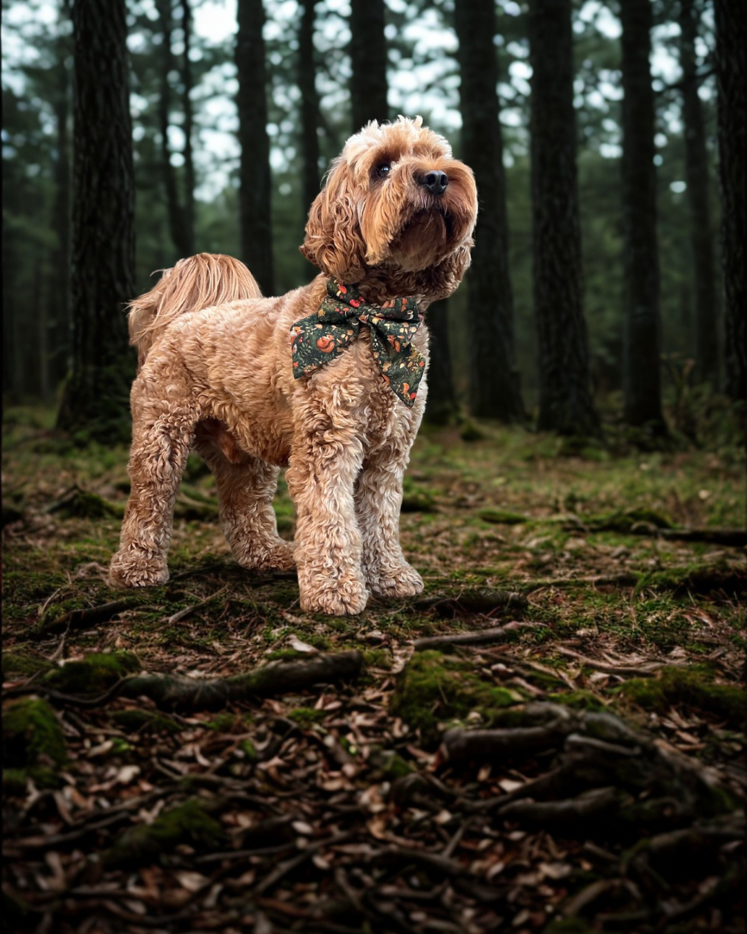 Woodland Wonder Sailor Bow