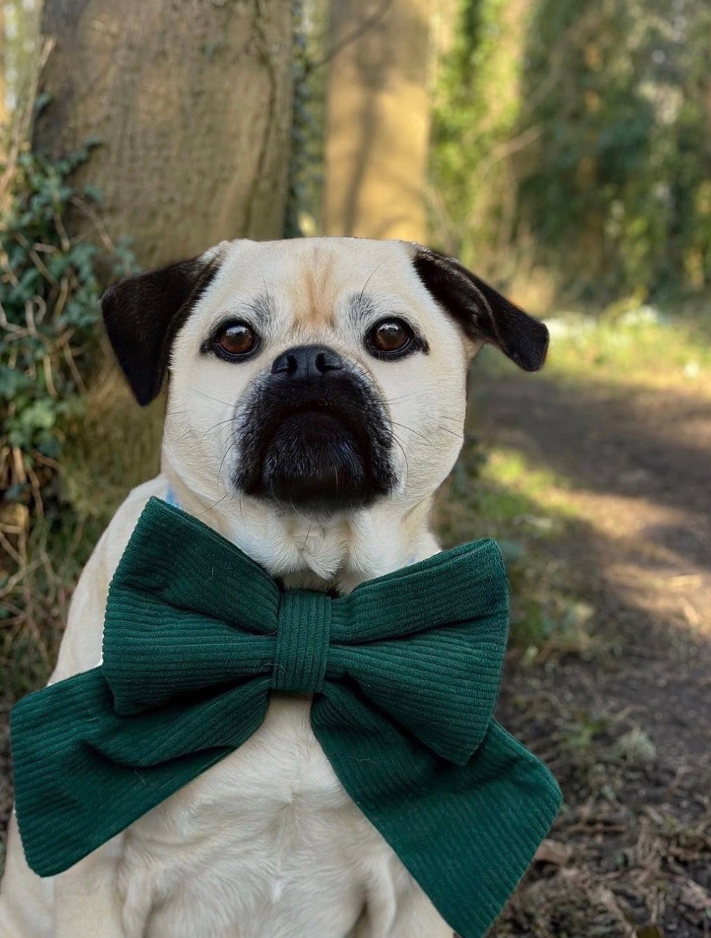 Cord & Co. - Dark Green Sailor Bow