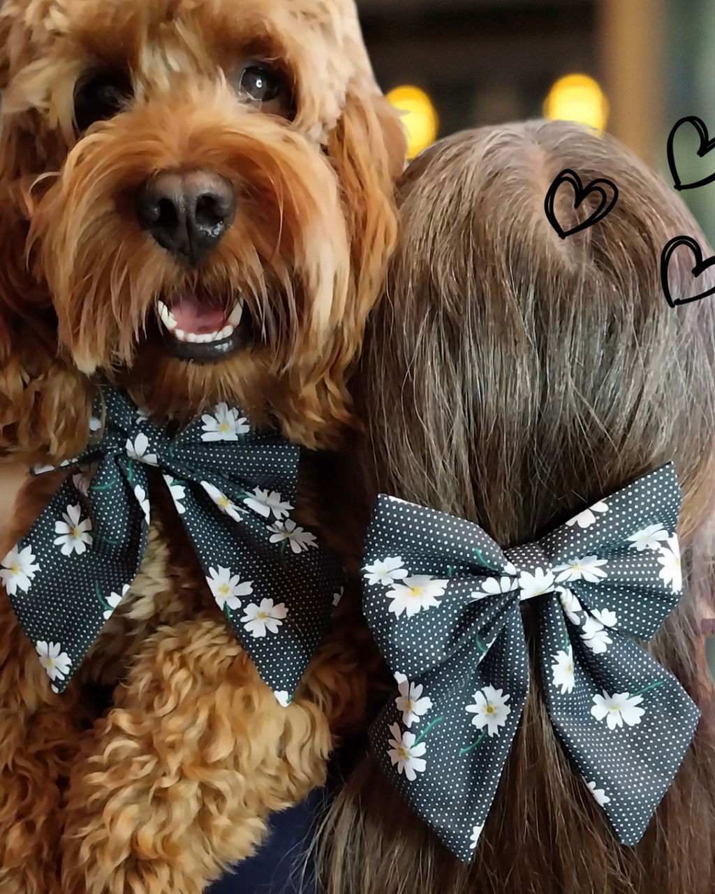 Mono Magic: Daisy Sailor Bow