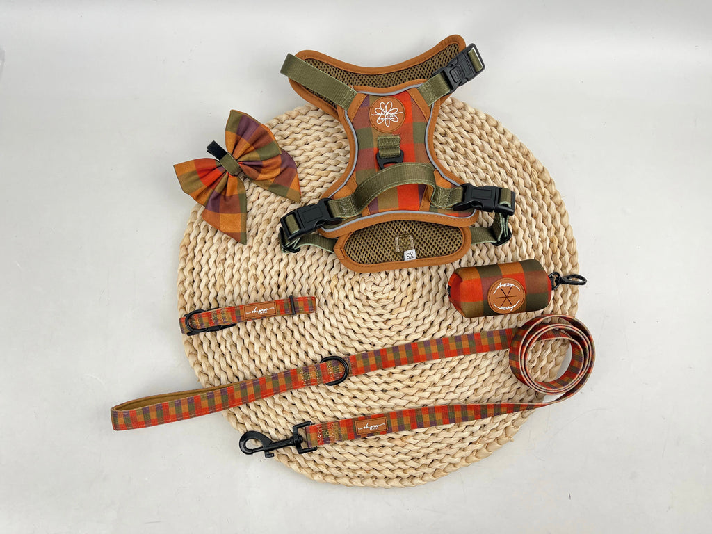 Core Memory - Burnham Weave Complete Adventure Bundle