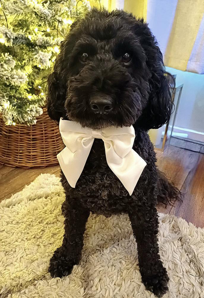 Satin Luxe Sailor Bow - Ivory