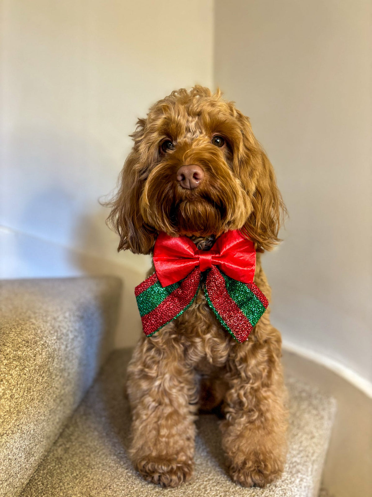 Tiding & Tartan - Tinsel Tails Sailor Bow