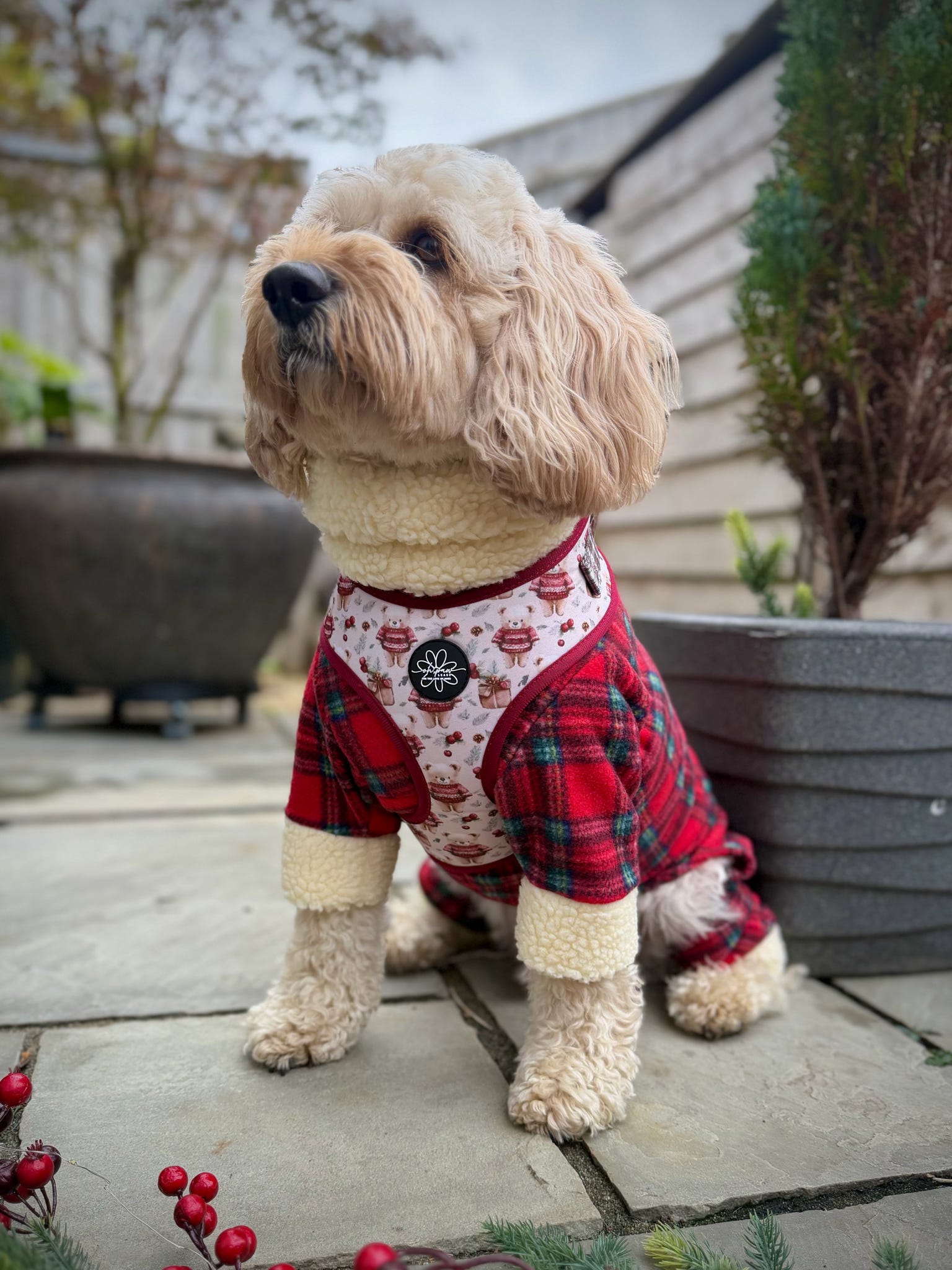 Jingle Bears - Adjustable Harness