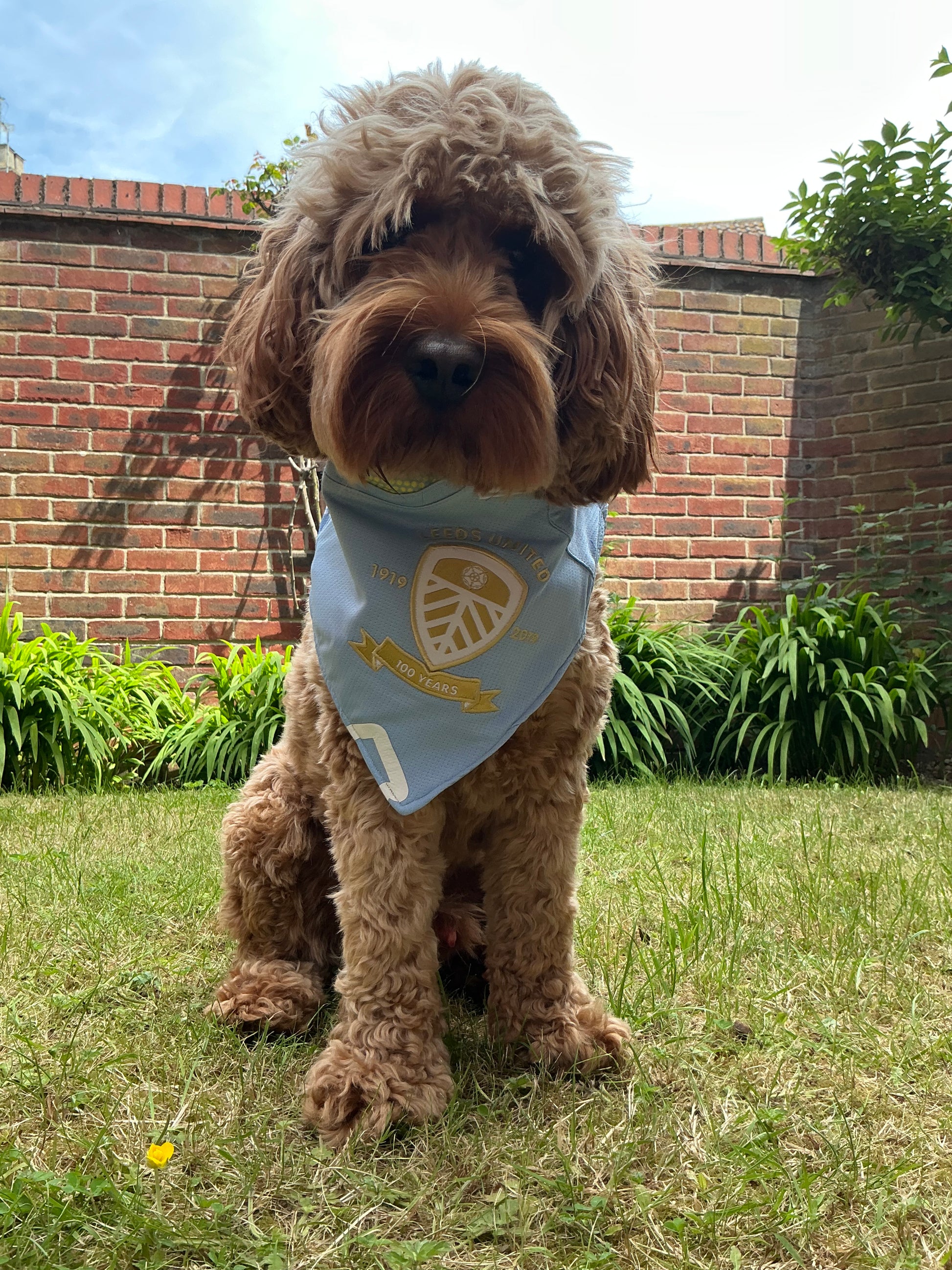 Leeds United SUPAW Fan Bandana