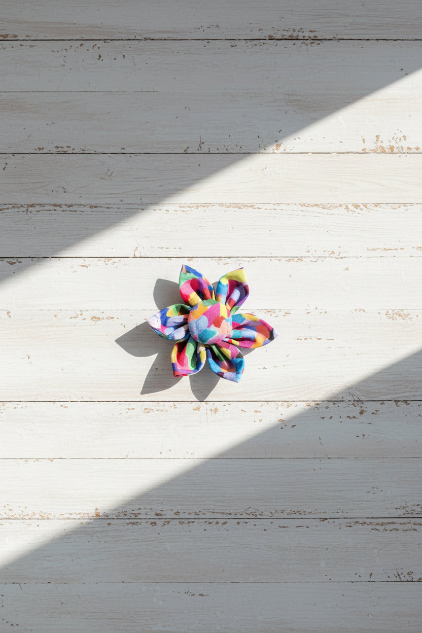 Colour Burst Bloom Collar Flower