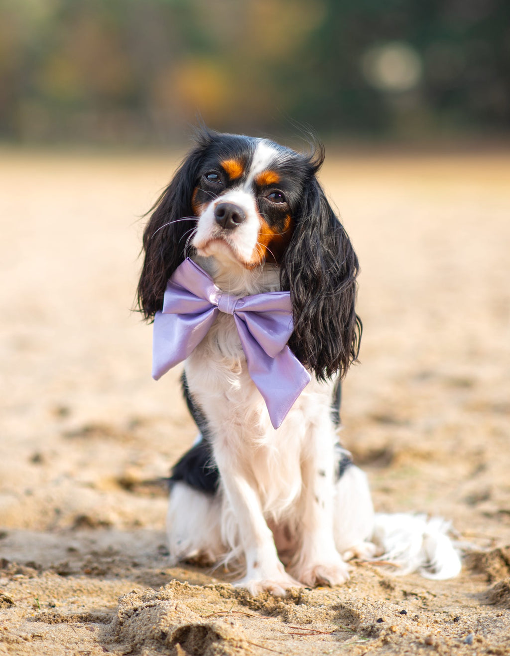 Satin Luxe Sailor Bow - Lilac