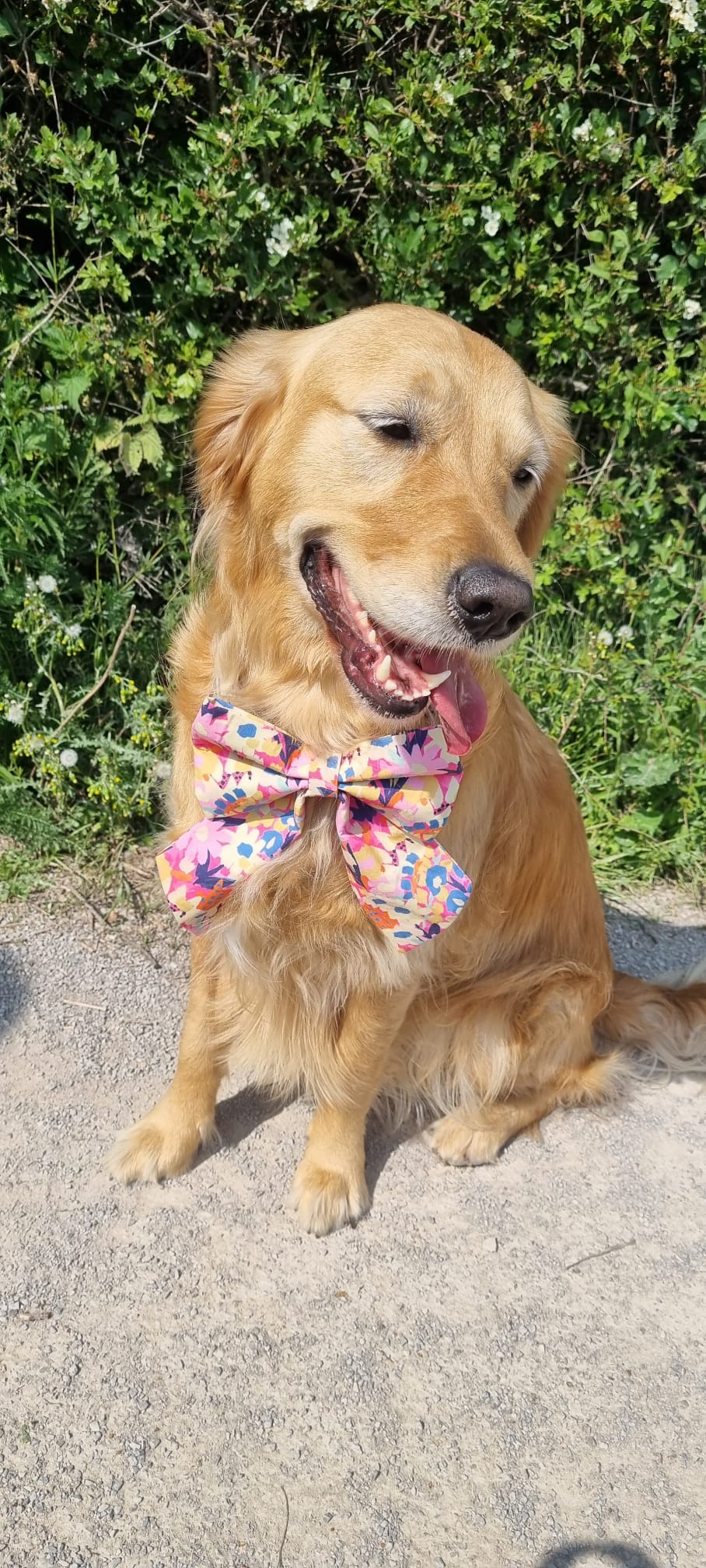 Poppin’ Pink Sailor Bow - New & Improved