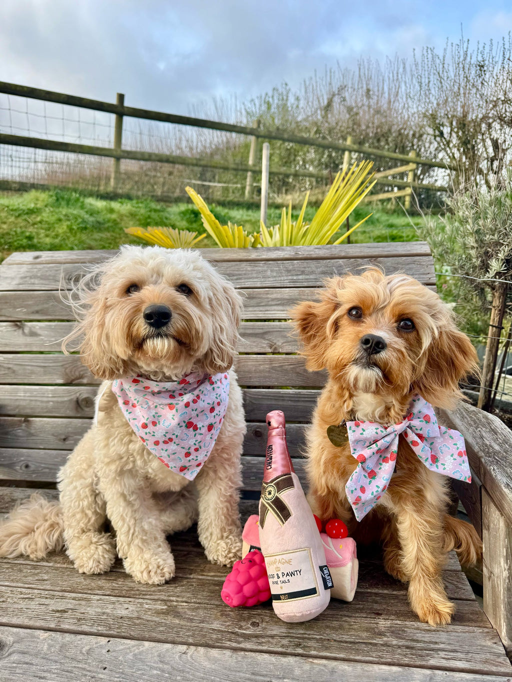 Sunshine & Sniffs Strawberry Bandana