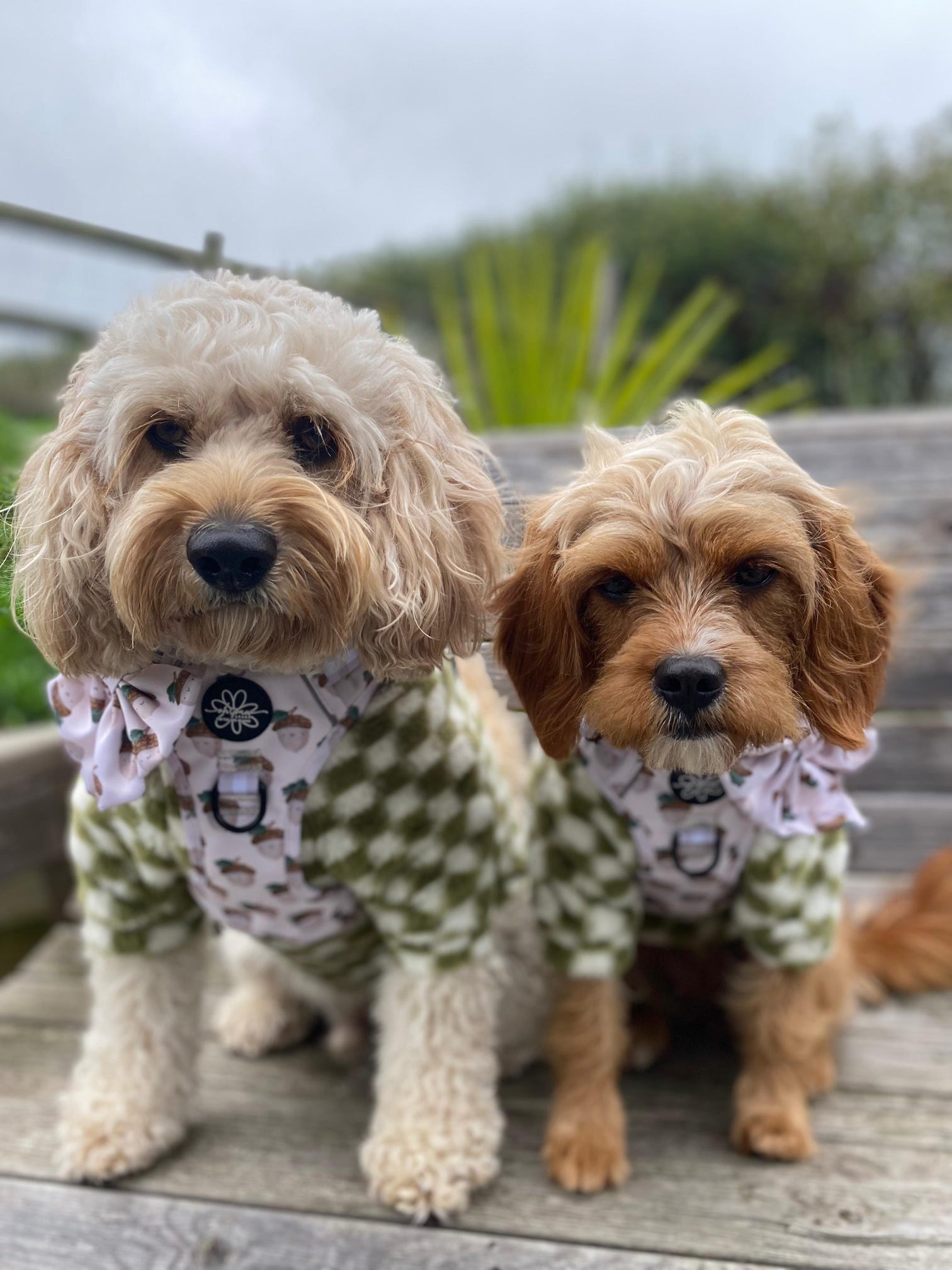 Cosy, Cute & Checkered Hoodie