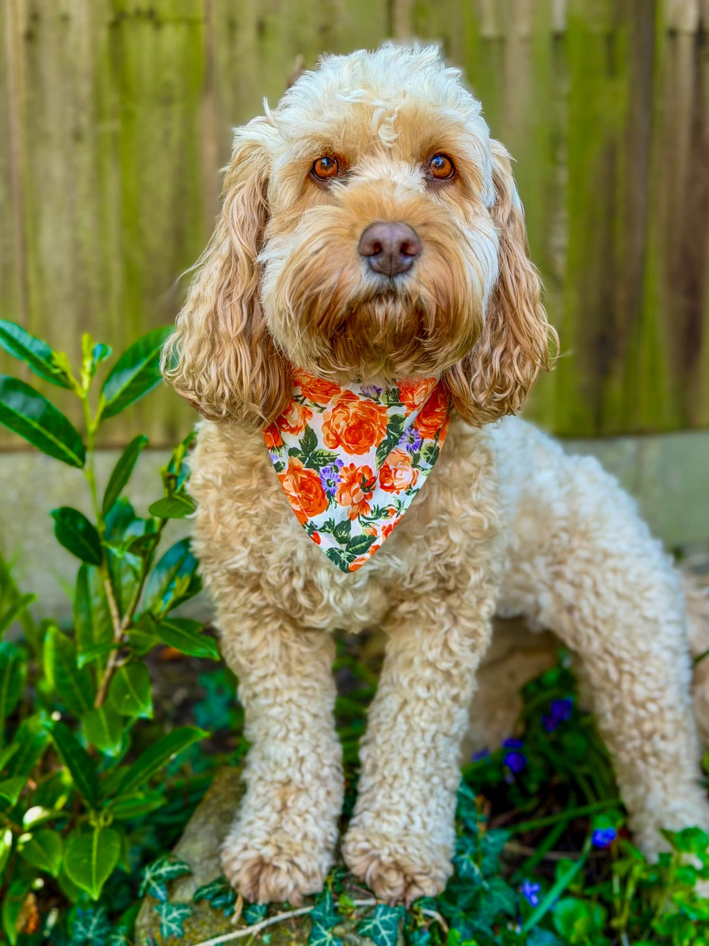 Vintage Rose Bandana