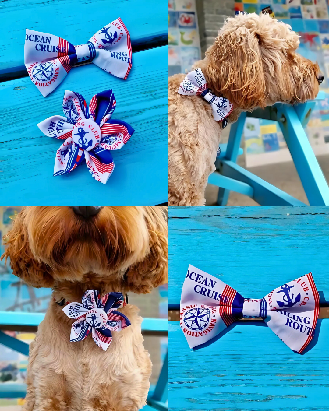 Sailor JOY Ocean Cruise Bow Tie