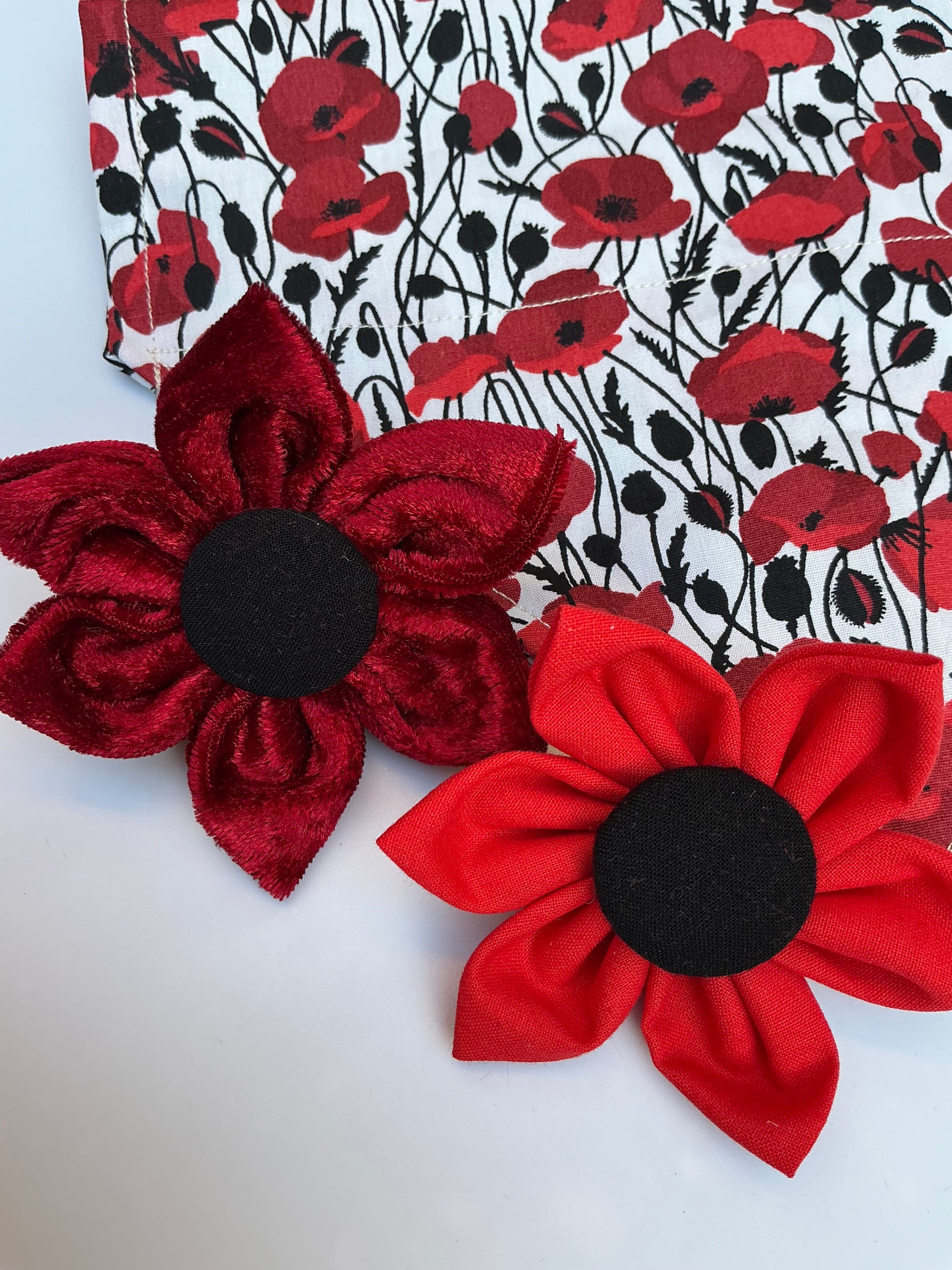 Paws for Remembrance Red Poppy Collar Flower