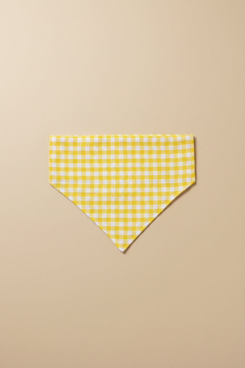Soft Summer Meadow Reversible Bandana
