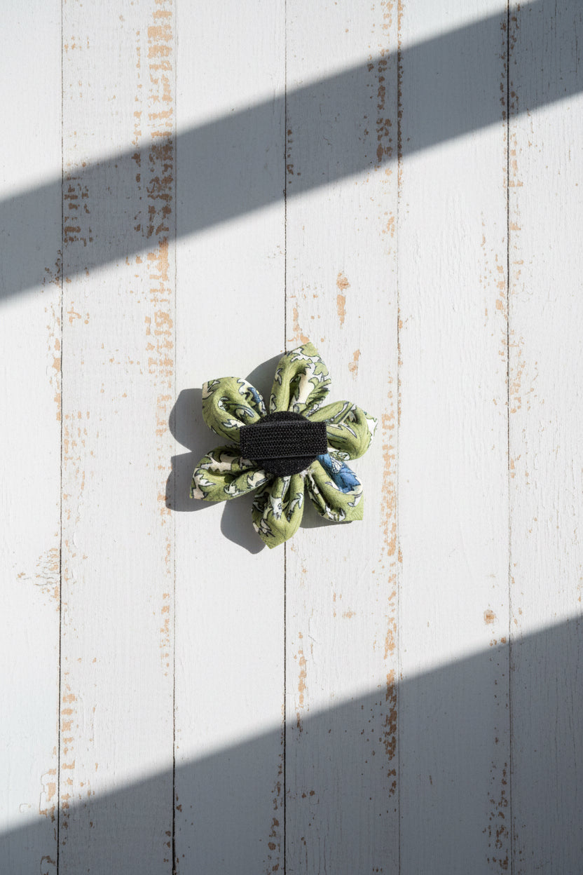 Evergreen Collar Flower