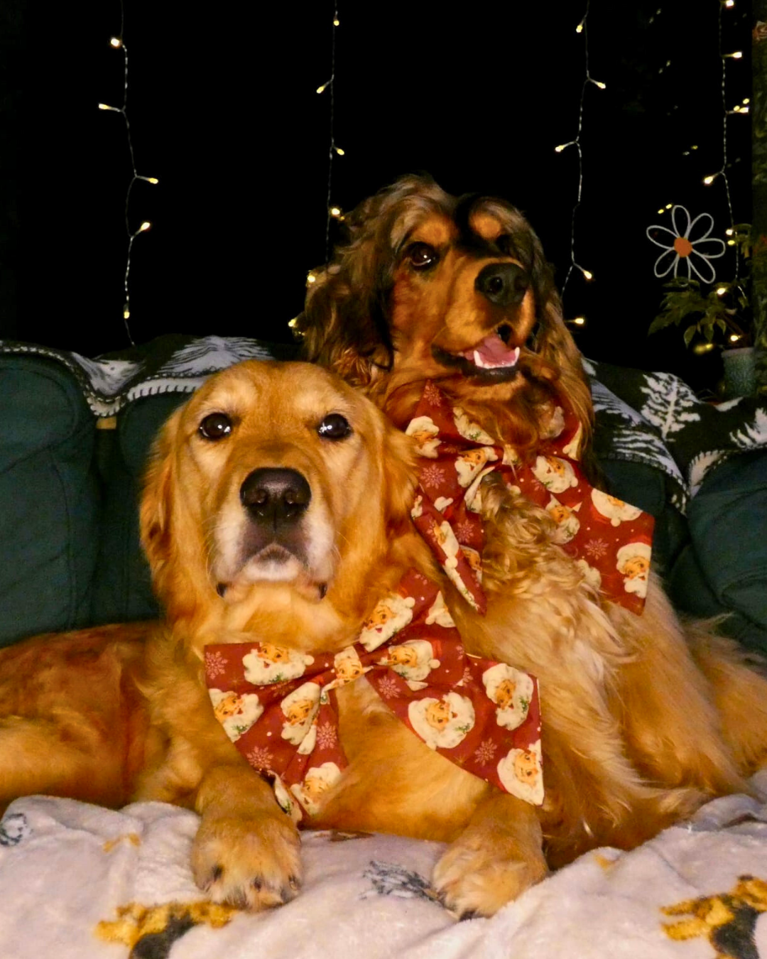 Ho-Ho-Hound Sailor Bow