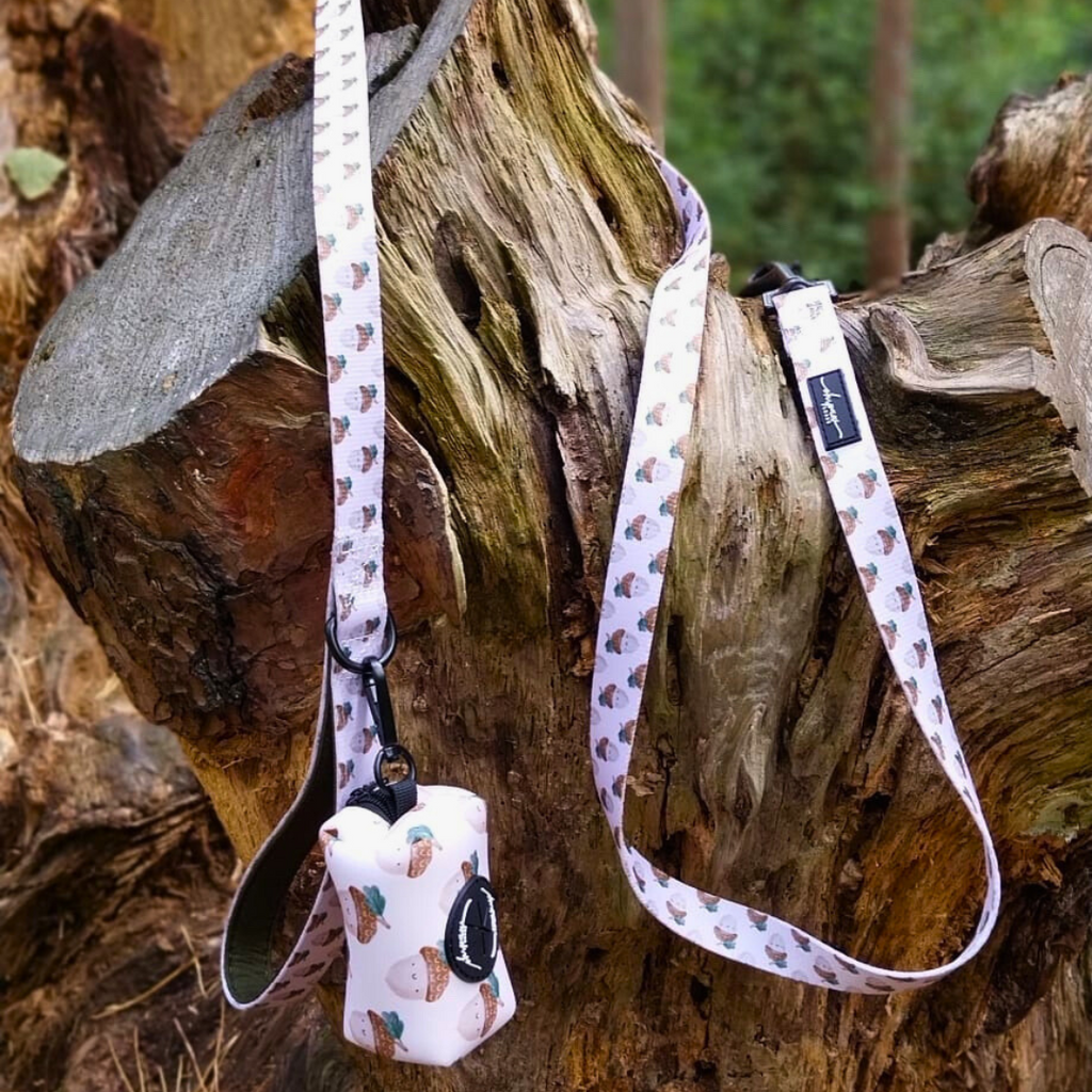 Nutty, by Nature! Acorn Lead