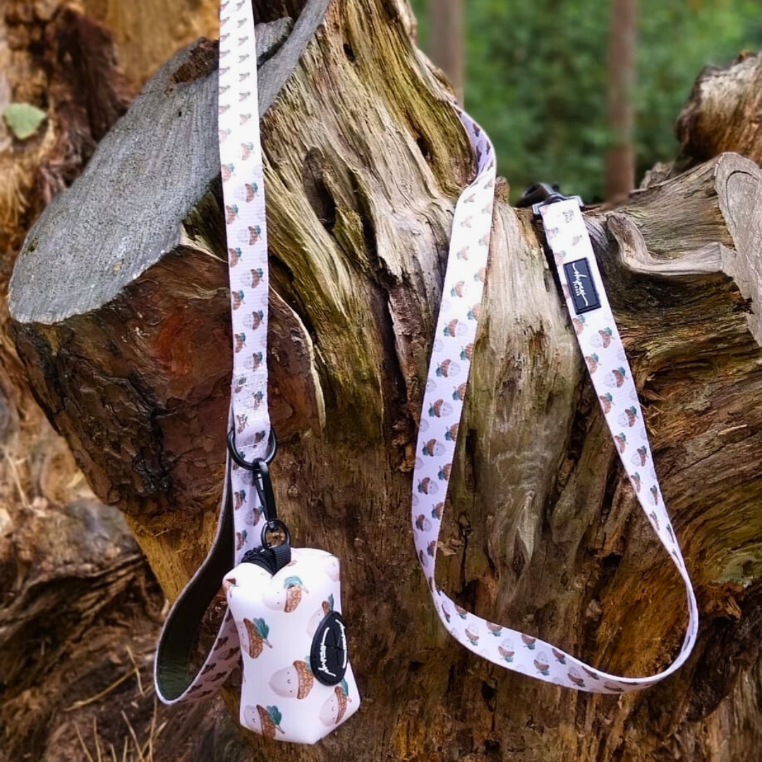 Nutty, by Nature! Acorn Lead