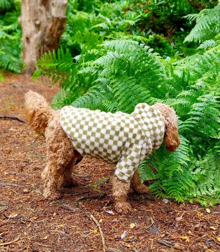 Cosy, Cute & Checkered Hoodie