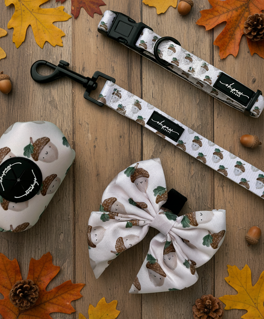 Nutty, by Nature! Acorn Collar