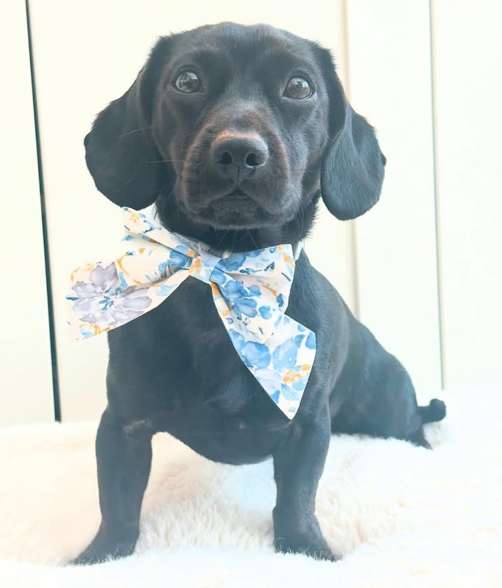 Fur-tastic Floral: Spring Bloom Sailor Bow