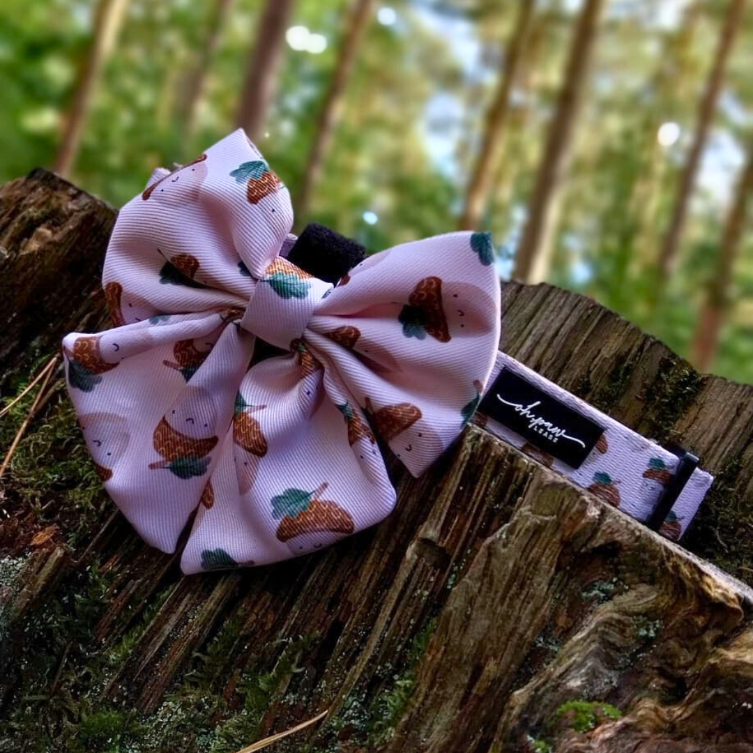 Nutty, by Nature – Acorn Sailor Bow