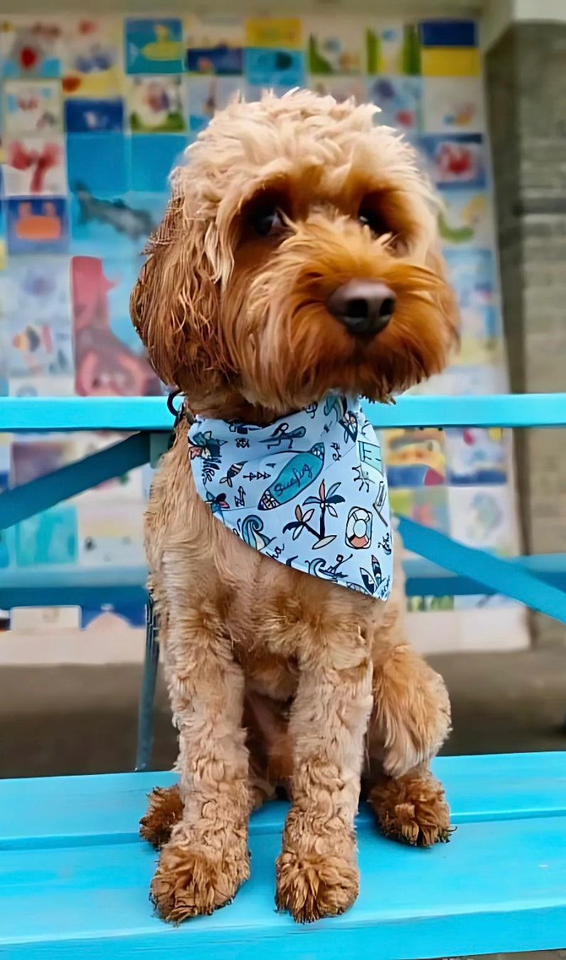 Sailor JOY: Surfs Up! Bandana