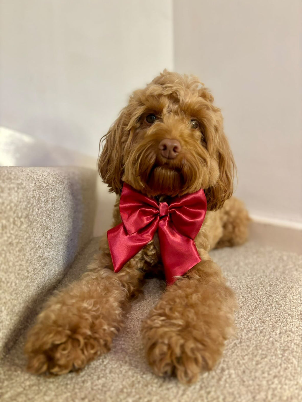 Satin Luxe Sailor Bow - Burgundy