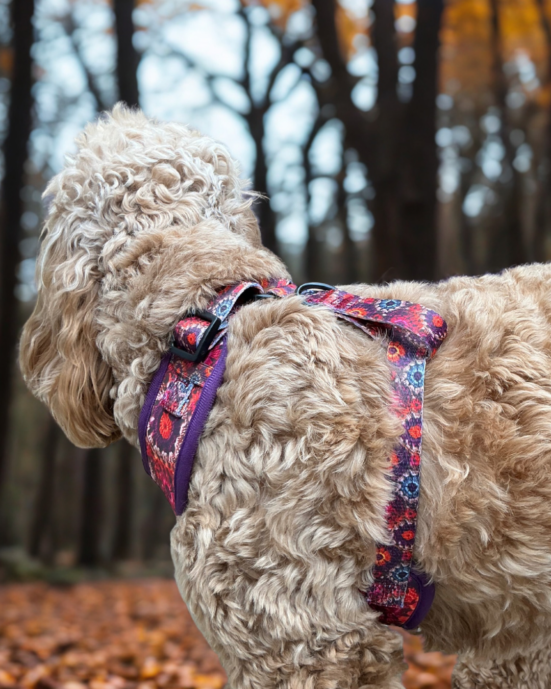 Pawberry Patch - Adjustable Harness