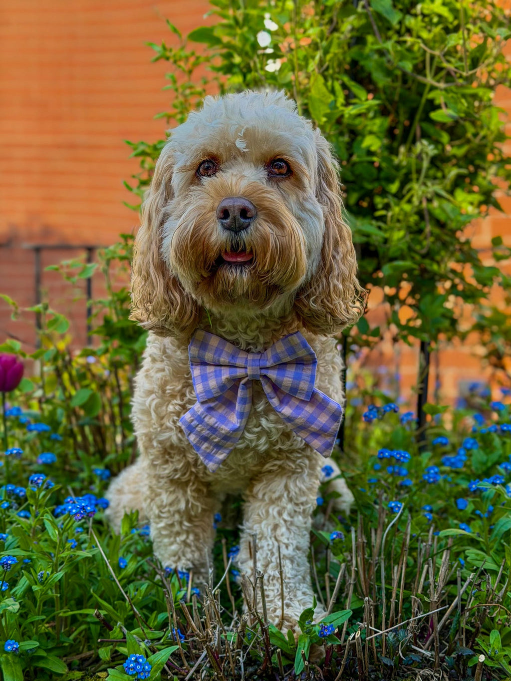 Picnic Pals - Lilac Blush Sailor Bow