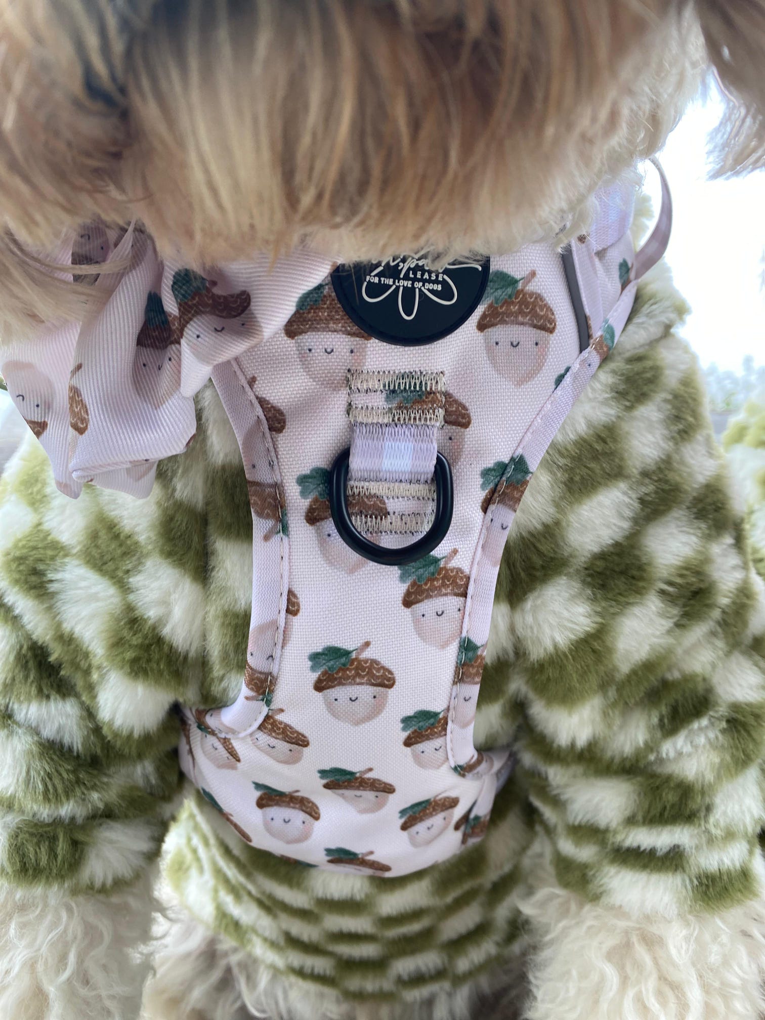 Nutty, by Nature! - Ready To Roam Harness