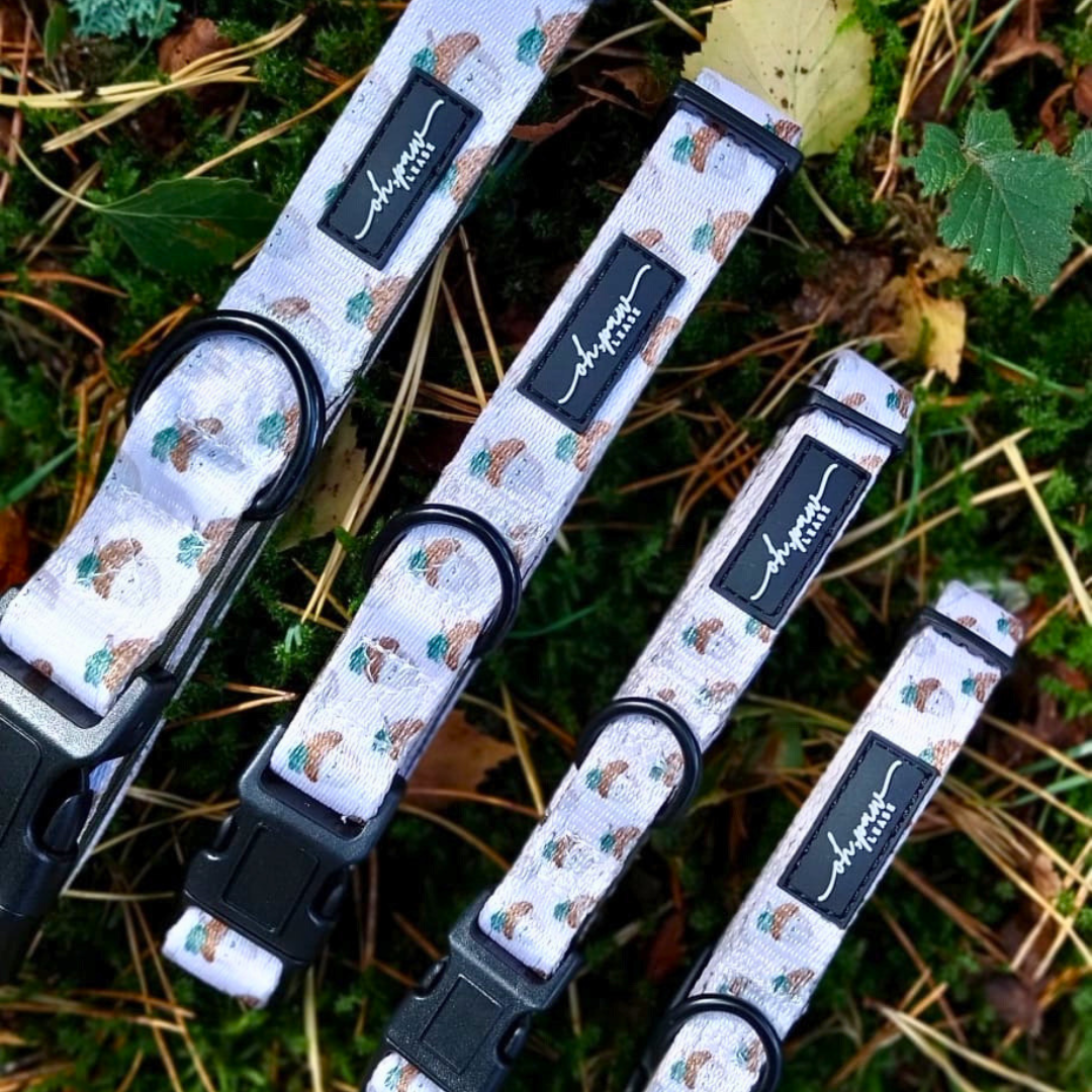 Nutty, by Nature! Acorn Collar