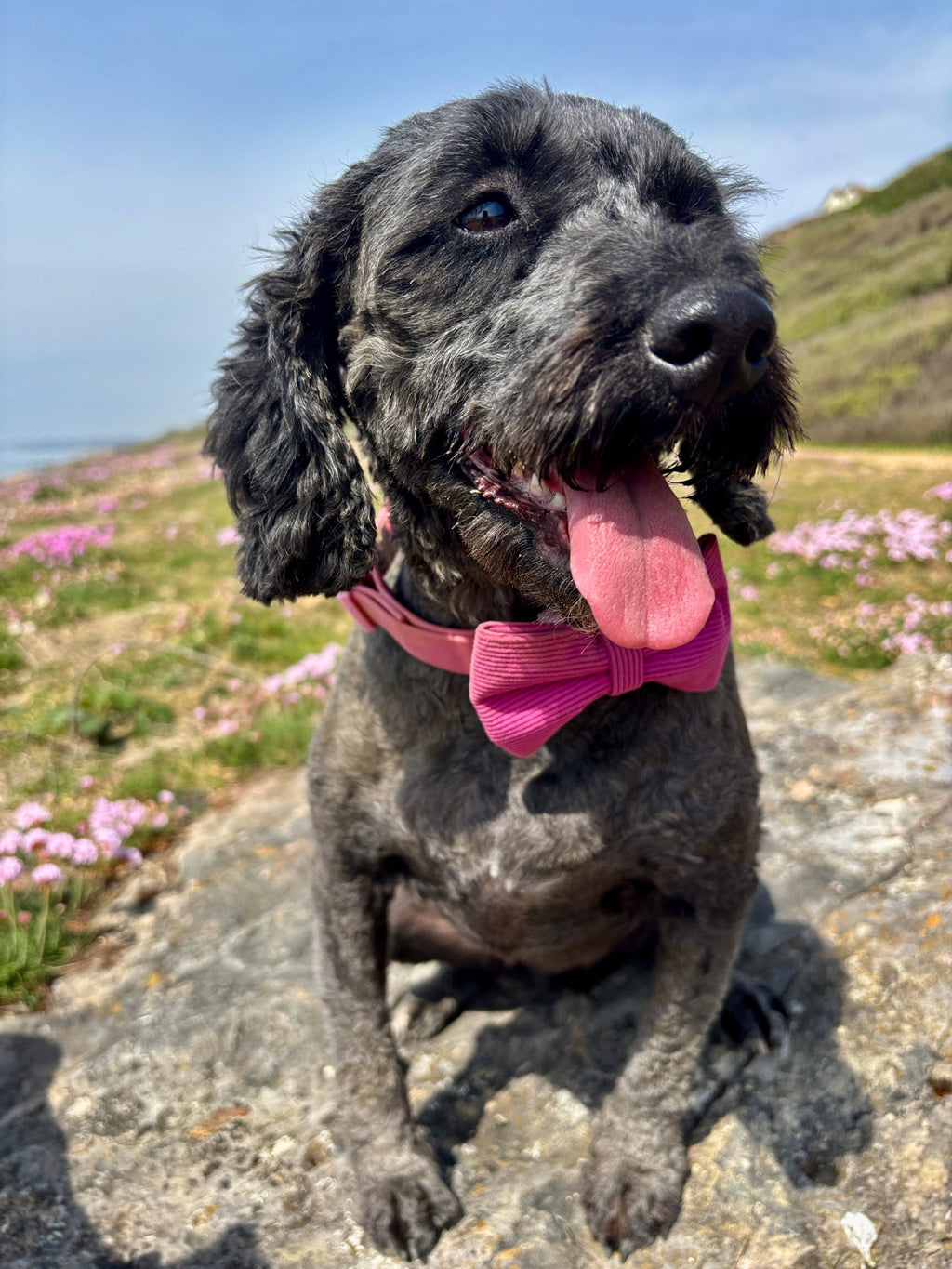 Everyday Corduroy Bow Tie - Hot Pink
