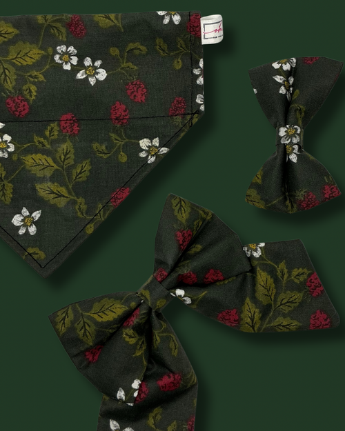 Bark & Berry Bandana