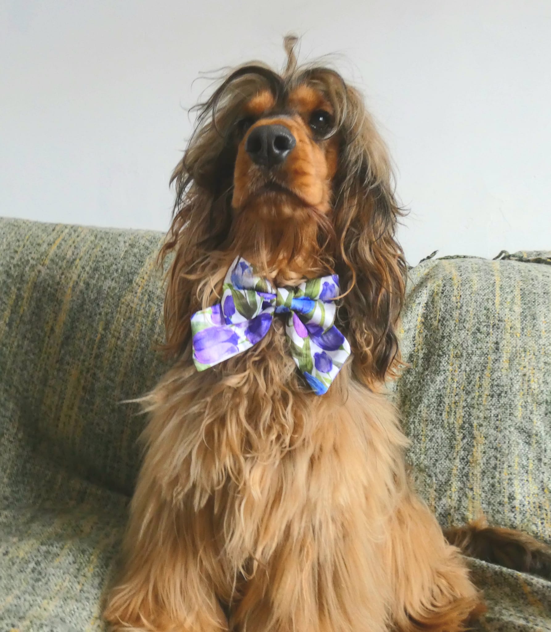 RESTOCK COMING SOON - Violet Tulip Bloom Sailor Bow